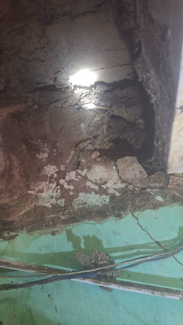 DIỆT MỐI TẠI PHƯỜNG QUY NHƠN TỈNH GIA LAI